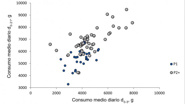 Ilustração 1. Relação entre o consumo médio diário da porca nos primeiros cinco dias de lactação e o consumo durante o resto da lactação. (Nutreco R & D, 2015)