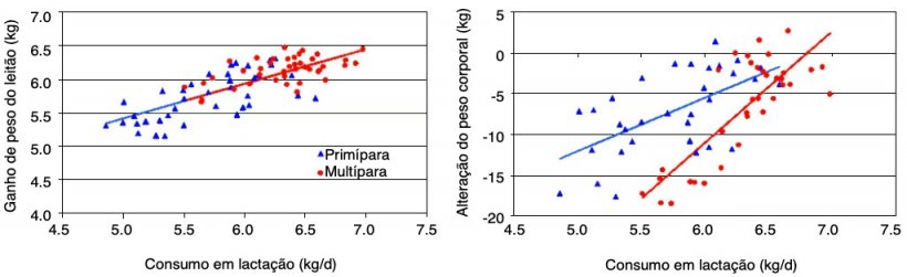 Ilustra&ccedil;&atilde;o 4. Por cada kg mais consumido pela porca em lacta&ccedil;&atilde;o o peso dos leit&otilde;es aumenta em mais de 0,5 kg e reduz-se em mais de 13 kg a perda de peso em mult&iacute;paras e mais de 6 kg em prim&iacute;paras.&nbsp;(NS Ferguson, 2010)
