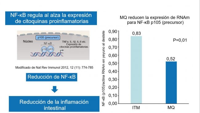 Figura 2. A redução do fator nuclear NF-κB reduz a inflamação intestinal.