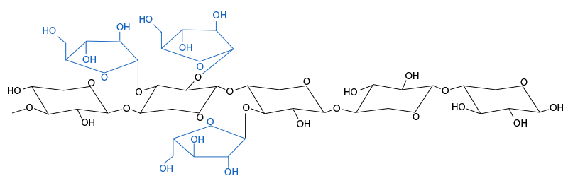Figura 3. Estrutura química dos arabinoxilanos. As ramificações da arabinose e sua distribuição variam entre cereais e entre variedades do mesmo cereal.
