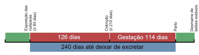 Figura 1. Linha temporal de exposição das porcas de substituição.