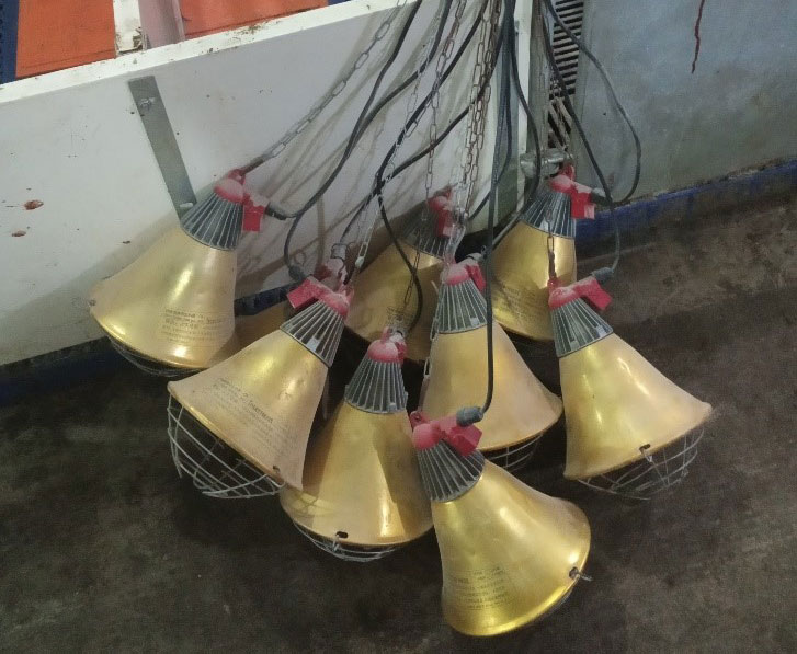 Foto 2: Candeeiros para maternidade armazenados incorrectamente entre utliza&ccedil;&otilde;es, o que aumenta o risco de danos nas l&acirc;mpadas de infravermelhos e os cabos el&eacute;ctricos (foto cortesia de DanAg International, China)
