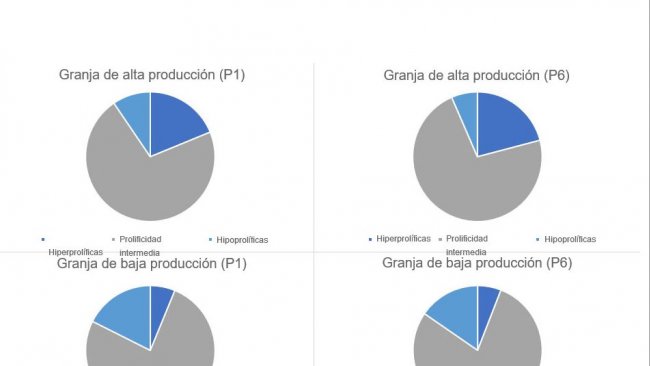 Gráfico 1. Distribuição do tipo de porcas, em parto 1 e 6, categorizados pelos tipos de explorações analisados.