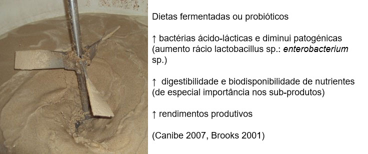 Figura 3: Tamb&eacute;m pode ser interessante fomentar a fermenta&ccedil;&atilde;o atrav&eacute;s da utiliza&ccedil;&atilde;o de dietas pr&eacute;-fermentadas ou probi&oacute;ticos. S&atilde;o-lhes atribu&iacute;dos muitos benef&iacute;cios como o aumento da microbiota favor&aacute;vel (melhoria do r&aacute;cio lactobacilus:enterobact&eacute;rias), melhorias digestivas e finalmente melhorias no rendimento produtivo do animal.

