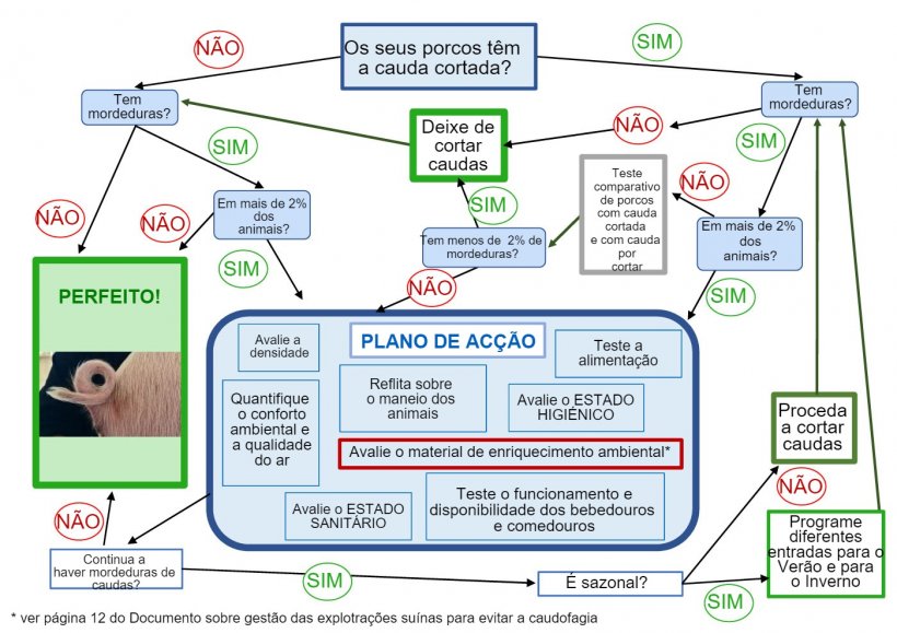 Árvore de tomada de decisão sobre o corte de caudas elaborado pela ANPROGAPOR