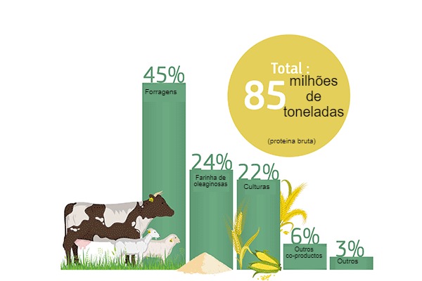 Fornecimento de proteína vegetal da UE: proporção de fontes de proteínas
