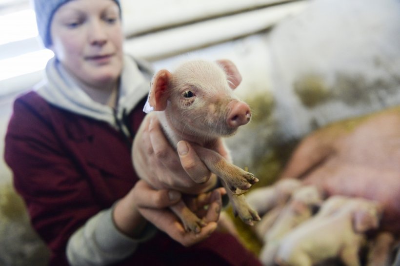 Министерство сельского хозяйства Российской Федера