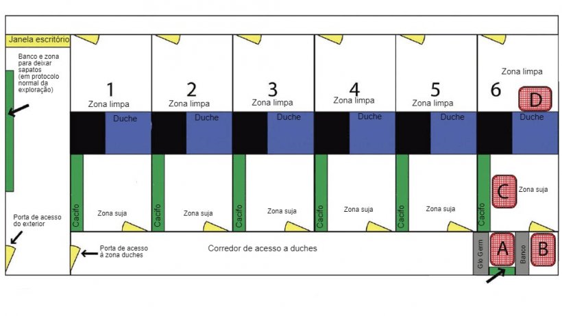 Diagrama da área de duches e seus acessos. O chuveiro 6 foi usado. para realizar o estudo. A localização da bancada para os dias de tratamento e a colocação do pó fluorescente (Glo Germ) estão indicadas. A localização de cada ponto de amostragem é designada com as letras A, B, C e D.