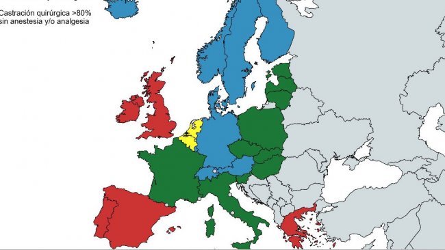 Fonte: Second progress report 2015 – 2017 on the European declaration on alternatives to surgical castration of pigs