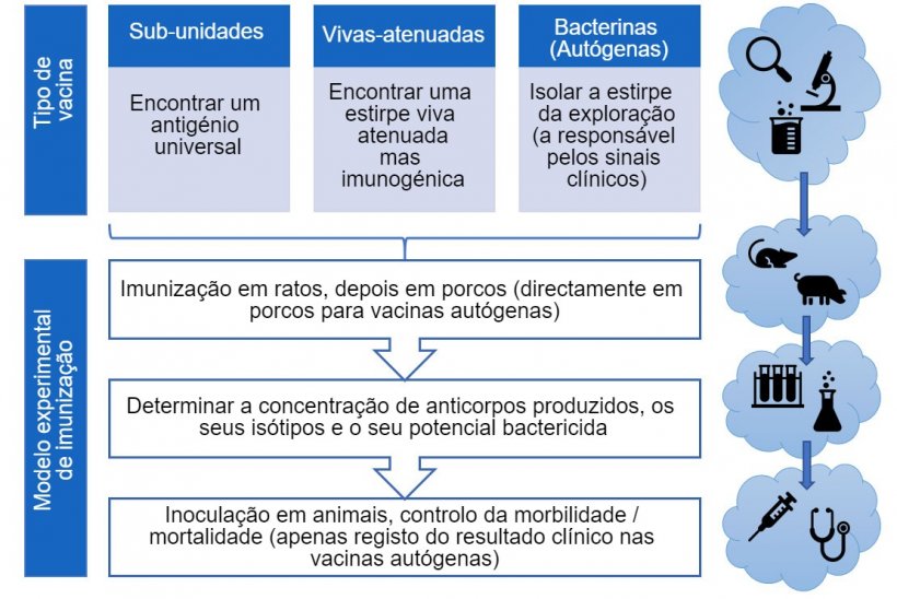 Figura 3. Passos na análise da eficácia das vacinas experimentais (por tipo de vacina).