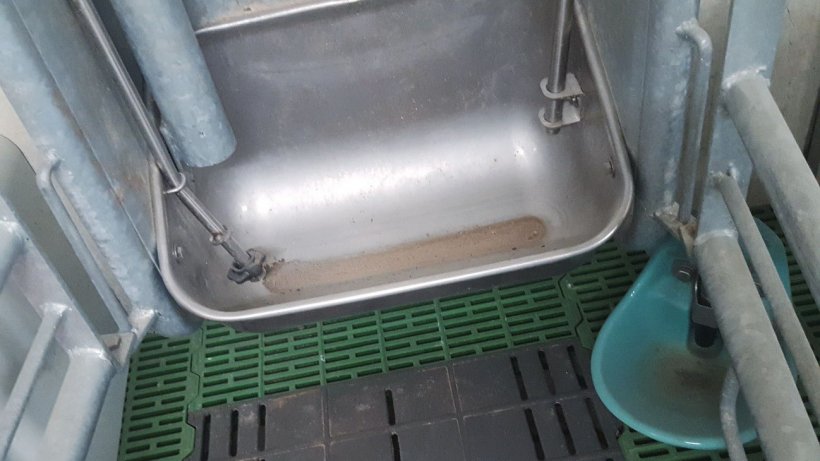Foto 3. A maioria desses sistemas faz a descarga da ração em porções de algumas gramas. Para evitar o desperdício de alimento, há uma primeira descarga que exerce um efeito "chamada para comer", mas não descarrega mais se a porca não apertar o botão.