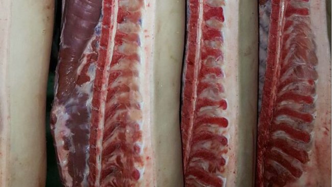 carcaças