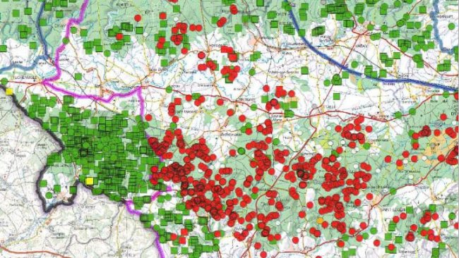 Mapa da distribuição de javalis em 29 de Julho de 2019