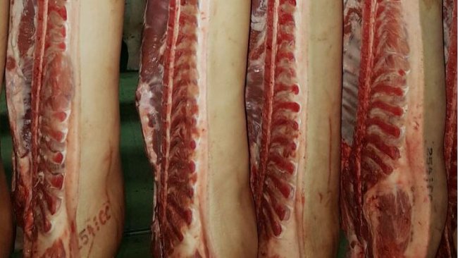 carcaças