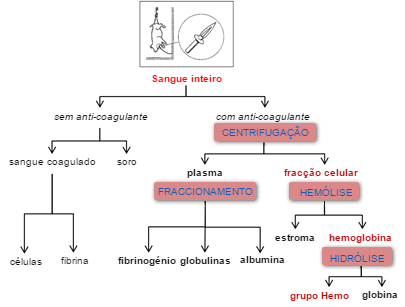 Esquema del procesamiento de la sangre