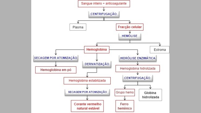 Principales productos derivados de la fracción celular de la sangre de matadero