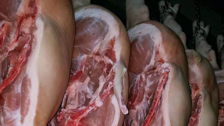 carca&ccedil;as no matadouro
