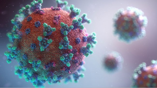 Fuente: Fusion Medical Animation en Unsplash  
