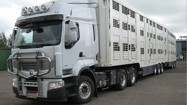 transporte animais covid-19