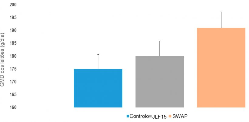 Figura 3. GMD dos leitões nos 3 sistemas estudados (Convencional, JLF15 y SWAP).
