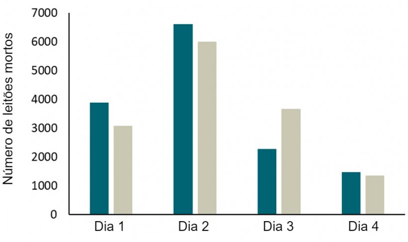 Figura 2. Registos (2 anos) de mortalidade dos leitões em 2 explorações com parques SWAP. A maioria das baixas aconteceu durante os primeiros 4 dias e, especialmente, durante as primeiras 24 h de vida.
