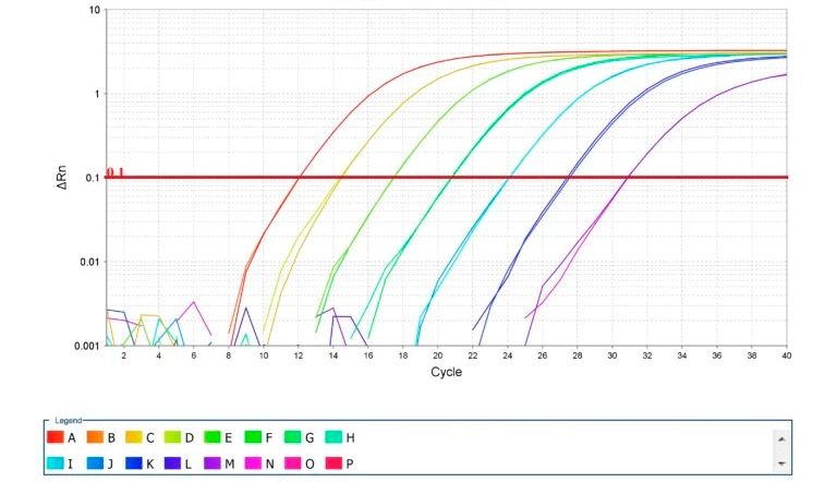 Imagem 2. Amplificação de curvas standart para PCR quantitativo. Fonte: Thermo Fisher Scientific Inc.
