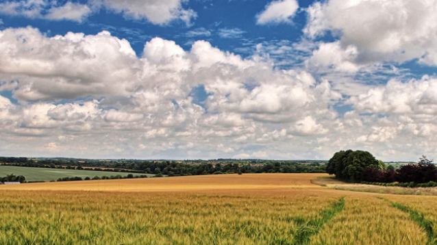 Fuente: Biblioteca de la C&aacute;mara de los Comunes
