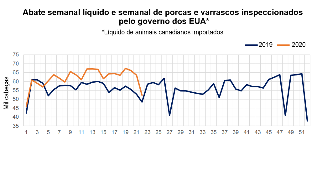 Inspec&ccedil;&atilde;o federal dos EUA de porcas e vararscos abatidos semanalmente