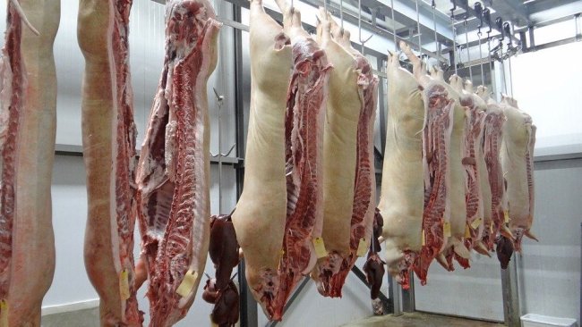 Carne Suína