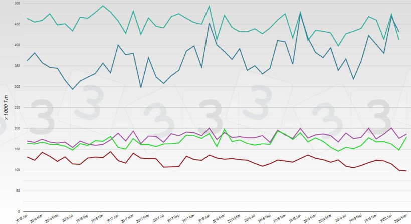 produção suinícola