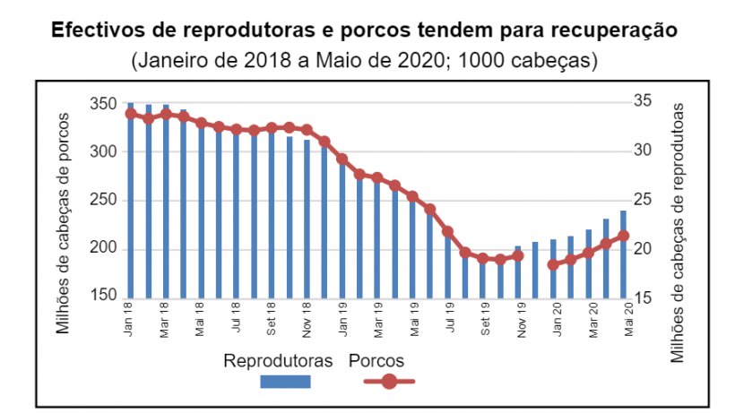 Dados de Dezembro de 2020 não disponíveis. Fonte: MARA
