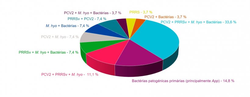 Figura 1: Combinações de agentes patogénicos encontradas em casos de campo de CRP diagnosticados nos últimos 4 anos no Serviço de Anatomia Patológica da Faculdade de Veterinária da Universidade de Múrcia.

