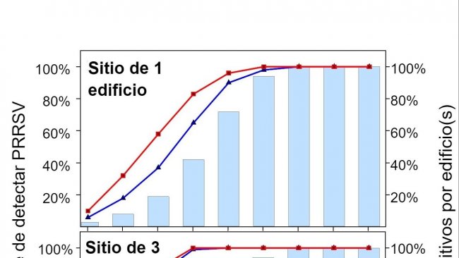 Figura 1. Detecção de PRRSV usando amostragem fixa espacial. Probabilidade de detectar ≥ 1 amostra positiva a PRRSV como função do número de amostras recolhidas por parque (2 ou 4) e número de parques amostrados por exploração (1 ou 3). Note que a probabilidade de detecção aumenta geometricamente com o número de cordas e pavilhões amostrados. Dados de Rotolo et al., (2017).