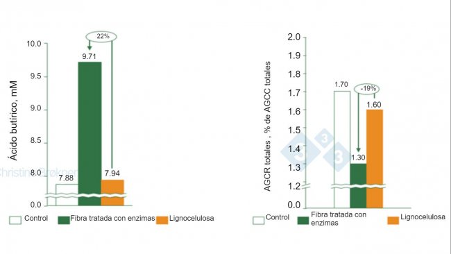 Figura 1. Controlo = não fibra, Fibra tratada com enzimas = PNA solúvel, Lignocelulose = PNA insolúvel. (A) A produção de ácido butírico aumenta 22% em leitões (15 kg) ao fermentar fibra solúvel. (B) A fermentação das proteínas é reduzida 19% em leitões (15 kg) ao fermentar fibra solúvel. AGCC = ácidos gordos de cadeia curta, AGCR = ácidos gordos de cadeia ramificada.