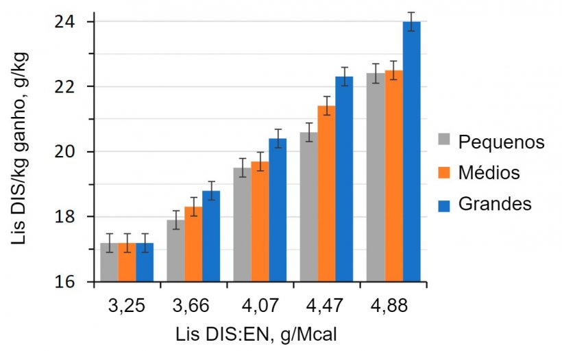 Figura 1. Efeito do ratio lisina-energia da dieta em porcos de engorda (28-63 kg PV) classificados segundo o seu peso inicial (Aymerich et al., 2020).
