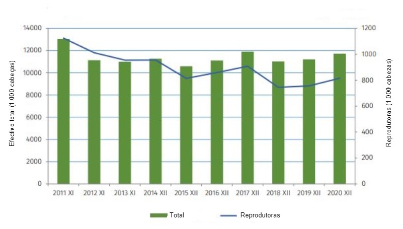 Evolução do efectivo suíno na Polónia desde 2011. Fonte: GUS