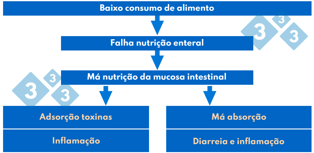 Cuadro 3. Patogenia del síndrome postdestete.