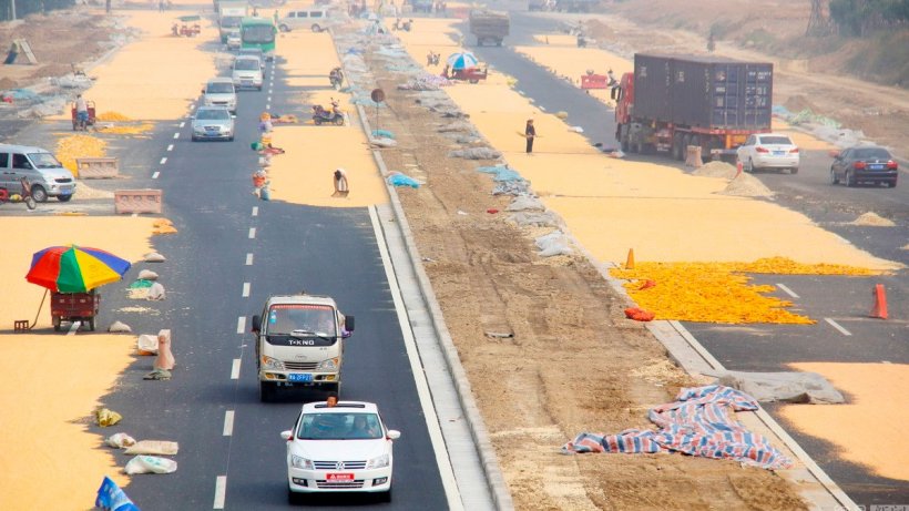 Imagem 1. Agricultores chineses a secar milho no asfalto quente. Fonte : Ch&eacute;n fēi/CFP,&nbsp;News163
