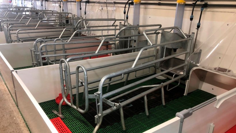Imagem 2. Lugar de maternidade correctamente limpo, desinfectado e seco para receber a entrada de porcas para o parto
