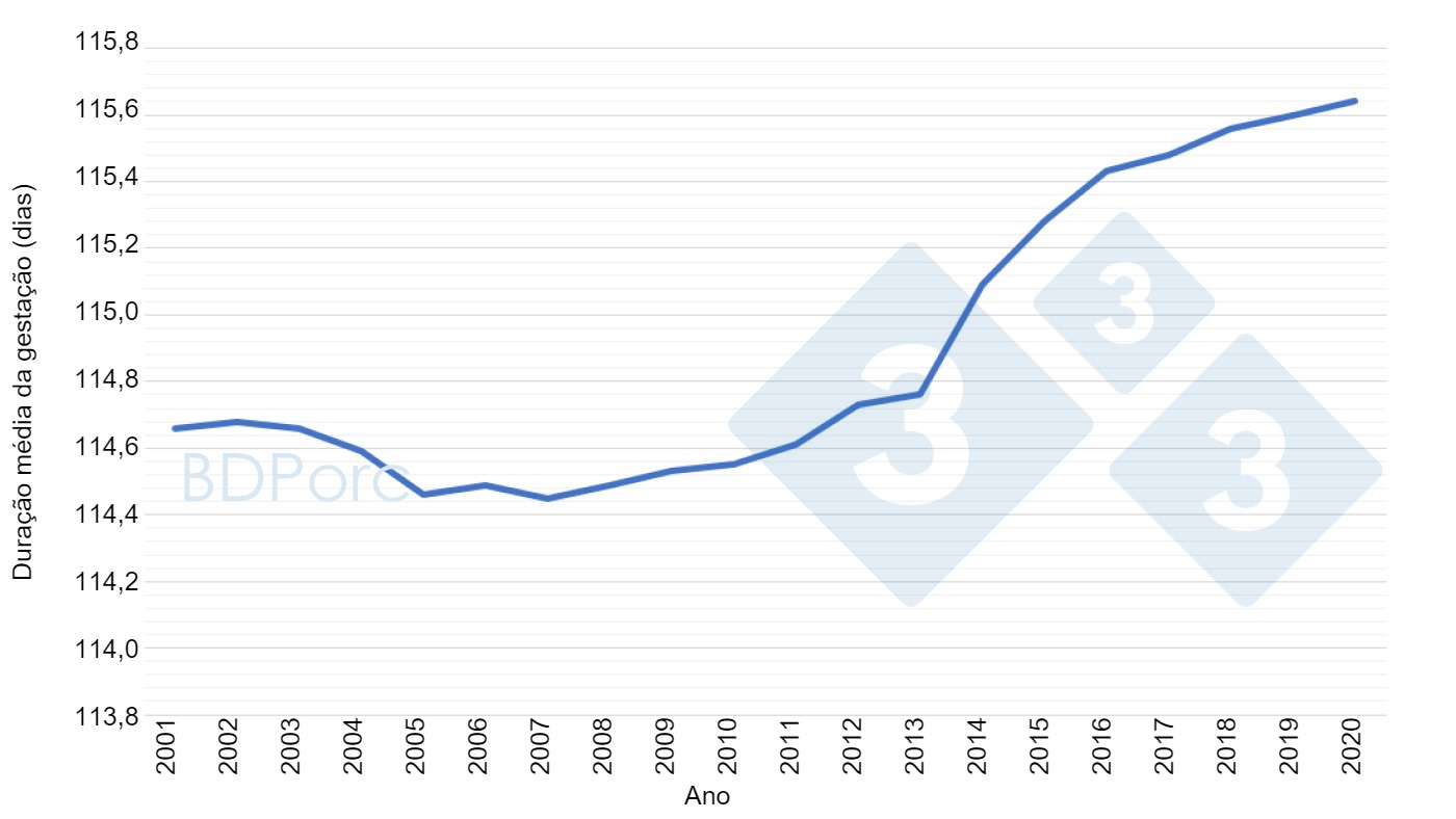 Gráfica 2. Duración media de la gestación de las cerdas en España desde 2001 a 2020. Fuente: BDPorc.