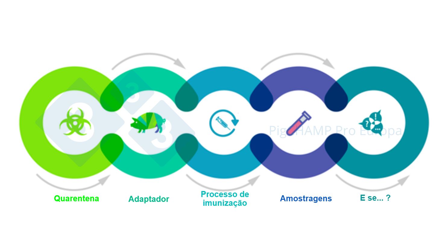 Figura 1. Aspectos chave interrelacionados que devem ser conhecidos antes da visita
