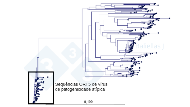 Figura 1: Árvore filogenética com o hist&oacute;rico de sequências ORF5 detectadas numa região no decurso de 4 anos.
