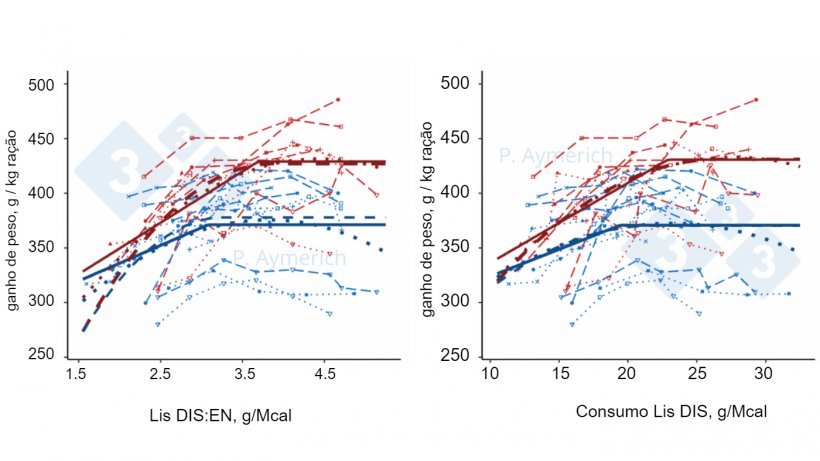 Figura 2. Modelização do efeito da razão lisina-energia e a ingestão de lisina diária em machos inteiros (encarnado) e fêmeas (azul) em acabamento sobre a eficiência de conversão (Aymerich et al., 2021).