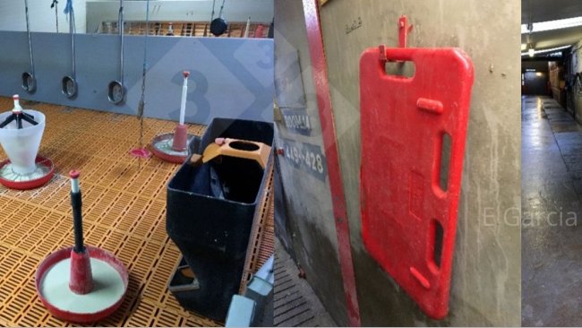 Figura 2. Ter a sala pronta antes que cheguem os leitões e manter todo o material ordenado e limpo faz uma grande diferença quanto a higiene, eficiência e comodidade para os leitões