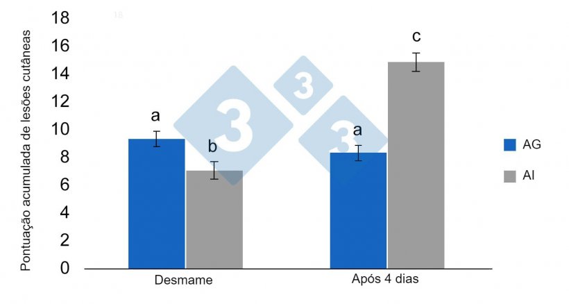 Figura 3. Médias de m&iacute;nimos quadrados e erros standart da pontuação de lesões acumuladas em leitões desmamados previamente alojados em AG pré-desmame (alojamento em grupo) ou em AI (alojamento individual). As diferenças significativas são indicadas com letras diferentes (p &lt;0,05) (de Schrey et al., 2019).

