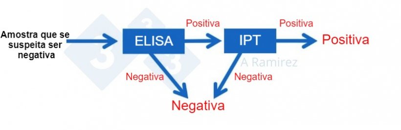 Figura 3. Diagrama que demonstra o uso de PPA IPT como um teste de confirmação para amostras que são inesperadamente positivas para PSA por ELISA. Uma amostra negativa presumida que dá um resultado ELISA negativo é considerada negativa. Se esta amostra der inesperadamente um resultado positivo, então um PSA IPT pode ser realizado como um teste de confirmação. Ou seja, se o teste IPT for positivo, a amostra é confirmada como positiva. Se o teste IPT for negativo, assumiremos que foi um falso positivo, desde que o PCR também seja negativo para confirmar que não há infecção recente. 