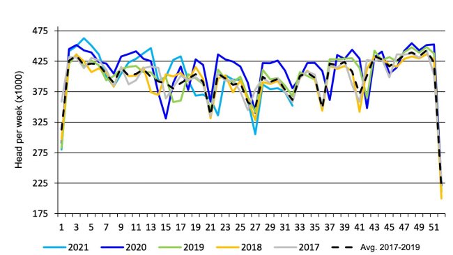 Sacrificio porcino semanal en el mercado federal canadiense. Fuente: USDA from Agriculture and Agri-Food Canada.