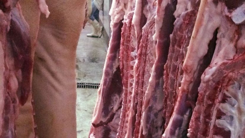 Perspectivas de baixa para um ano de recordes nos preços carne suína - Artigos - 3tres3, A página do suíno