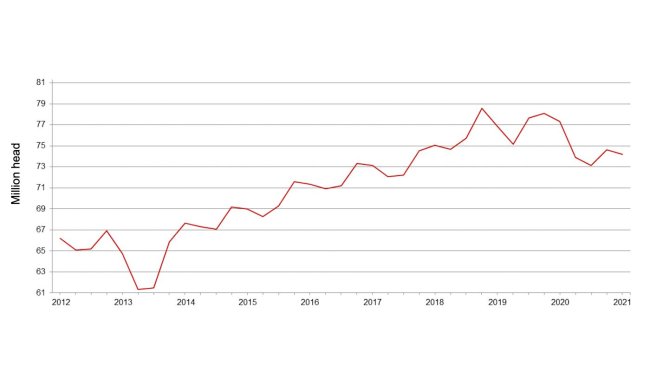 Censo porcino trimestral de Estados Unidos - 1 de diciembre. Fuente: USDA.