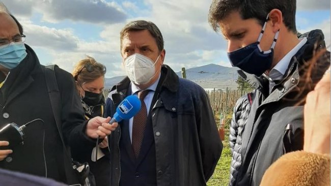 agricultura del carbono